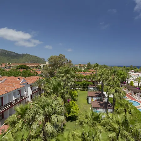 Swandor & -