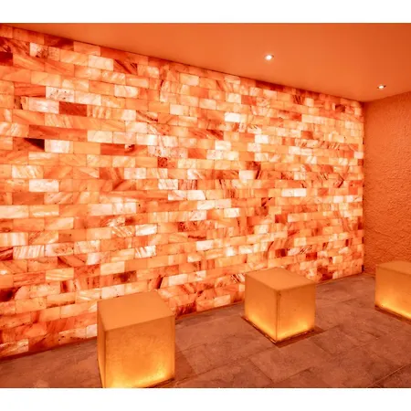 Hotel Swandor & - Kemer