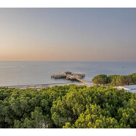 Swandor & - Hotel