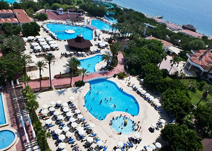 Отель Swandor & -