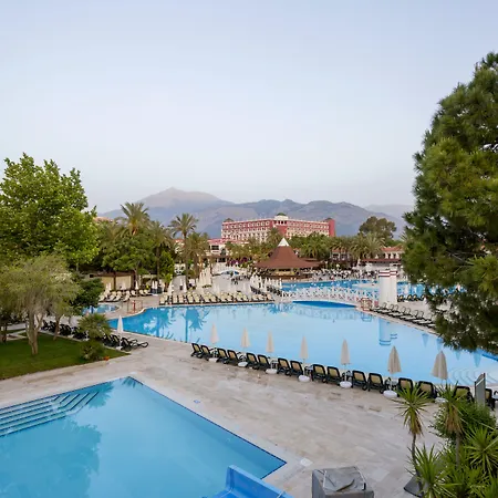 Swandor & -